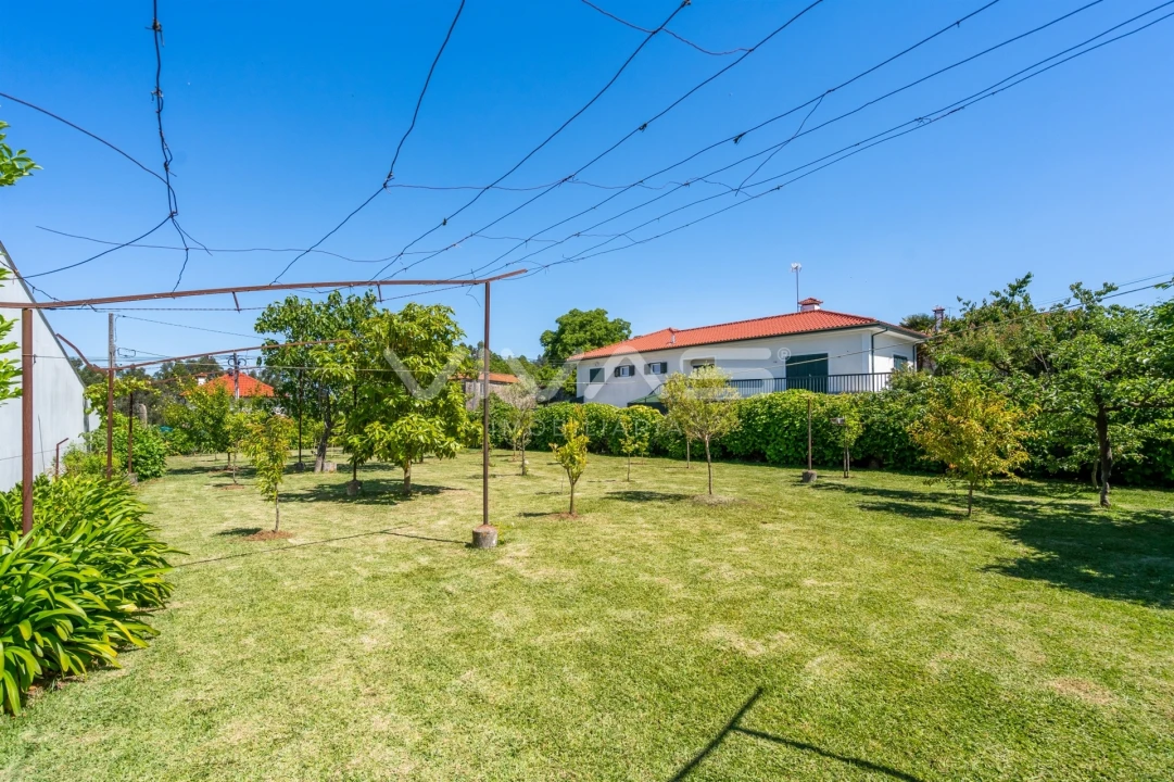 Moradia T3 para Venda em Ardegão, Freixo e Mato Foto 25