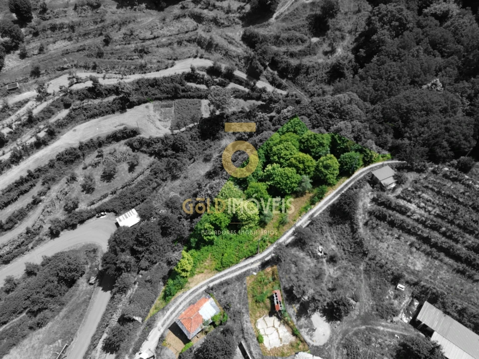 Moradia T2 para Venda em Real Foto 9