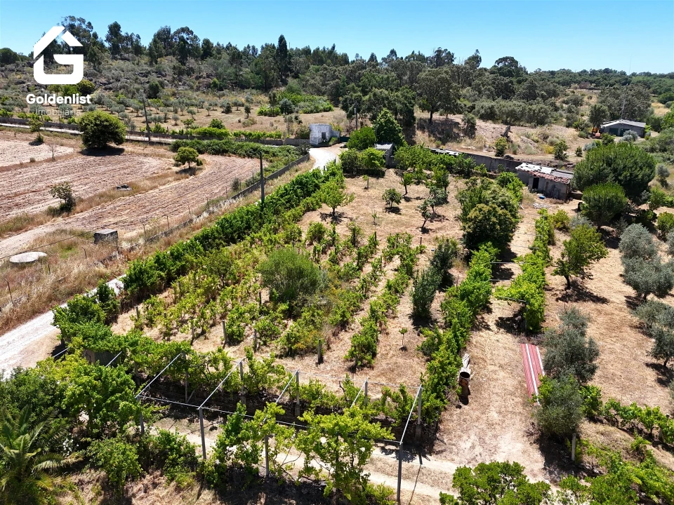 Quinta T0 para Venda em Castelo Branco Foto 21