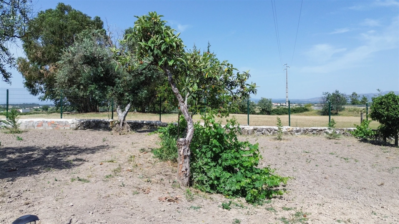 Quinta T1 para Venda em Lardosa Foto 87