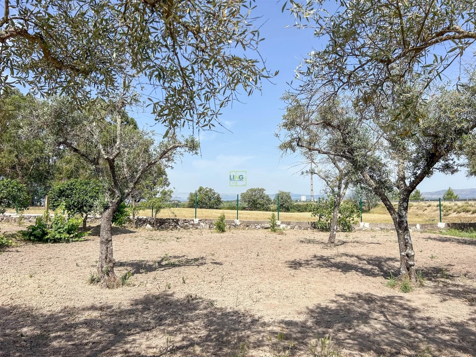 Quinta T1 para Venda em Lardosa Foto 43