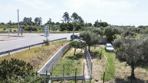 Quinta T1 para Venda em Lardosa