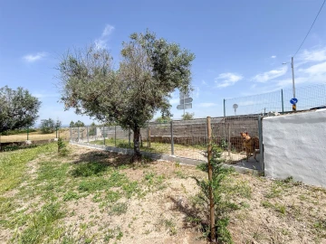 Quinta T1 para Venda em Lardosa