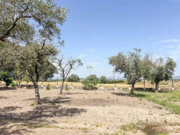 Quinta T1 para Venda em Lardosa