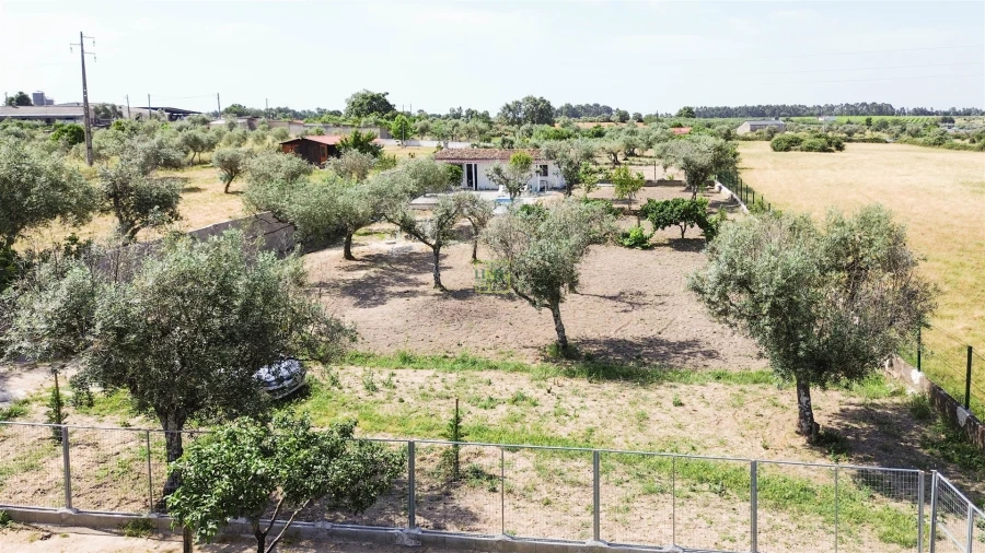 Quinta T1 para Venda em Lardosa Foto 26