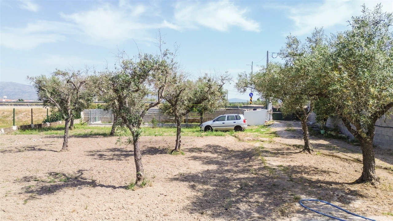 Quinta T1 para Venda em Lardosa Foto 3