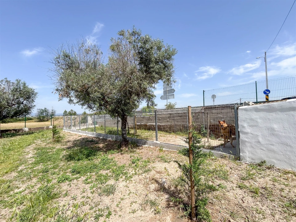 Quinta T1 para Venda em Lardosa Foto 71
