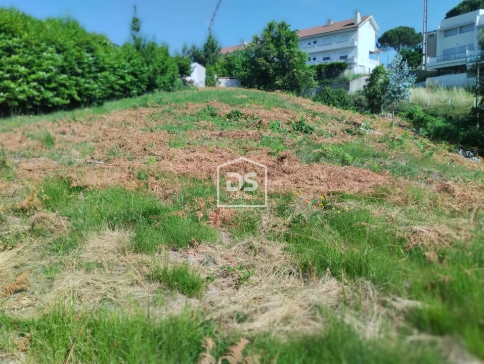Terreno para Venda em Freixo de Cima e de Baixo Foto 7