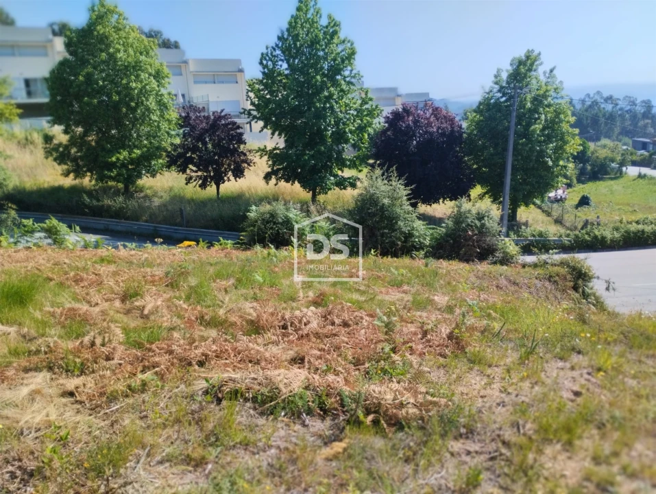 Terreno para Venda em Freixo de Cima e de Baixo Foto 9