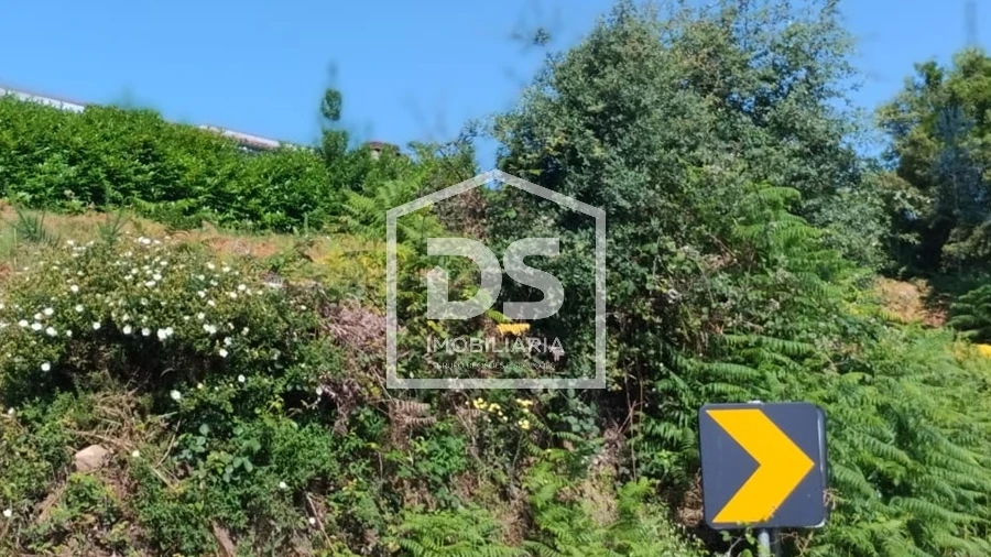 Terreno para Venda em Freixo de Cima e de Baixo