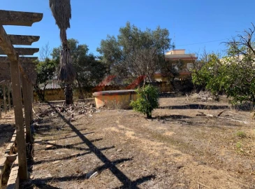 Terreno para Venda em Quelfes
