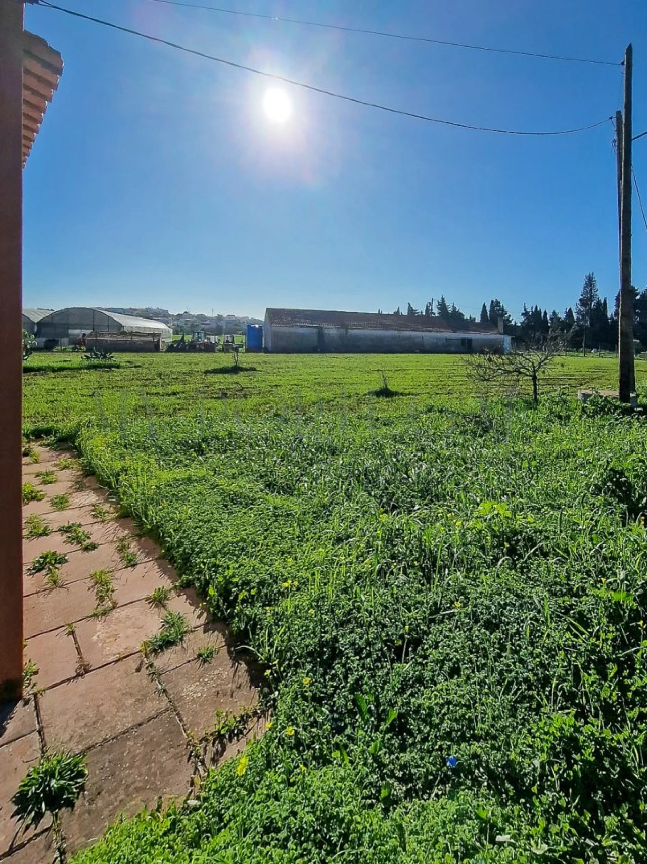 Quinta T1 para Venda em Odiaxere Foto 16