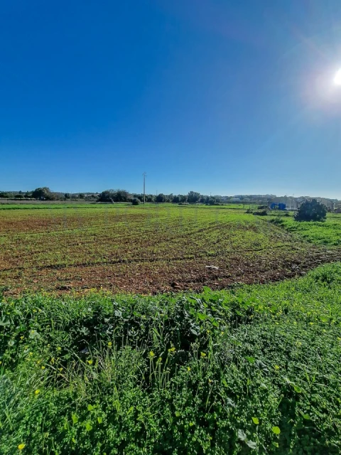Quinta T1 para Venda em Odiaxere