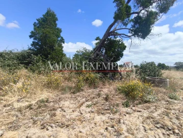 Terreno para Venda em Alhos Vedros