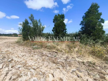 Terreno para Venda em Alhos Vedros