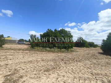 Terreno para Venda em Alhos Vedros
