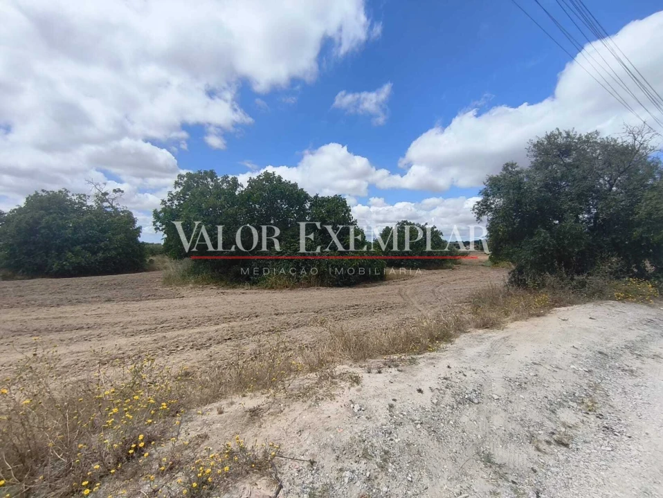 Terreno para Venda em Alhos Vedros Foto 6