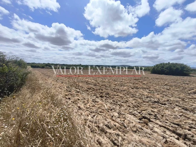 Terreno para Venda em Alhos Vedros Foto 16