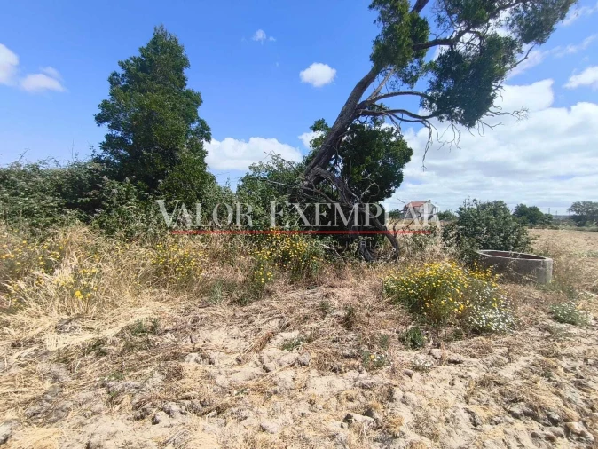 Terreno para Venda em Alhos Vedros Foto 3