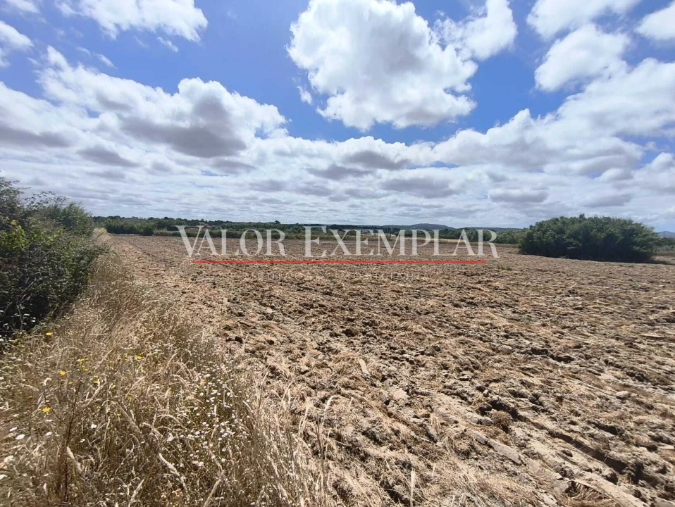 Terreno para Venda em Alhos Vedros Foto 16