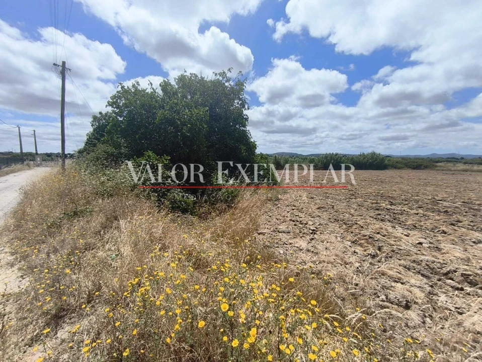 Terreno para Venda em Alhos Vedros Foto 12