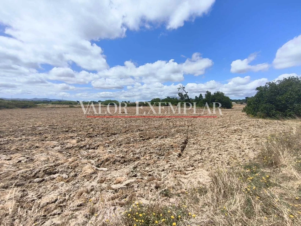 Terreno para Venda em Alhos Vedros Foto 14