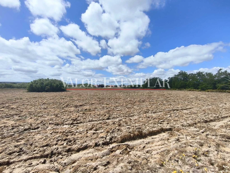 Terreno para Venda em Alhos Vedros Foto 19