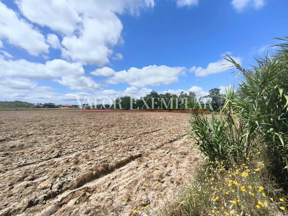 Terreno para Venda em Alhos Vedros Foto 18