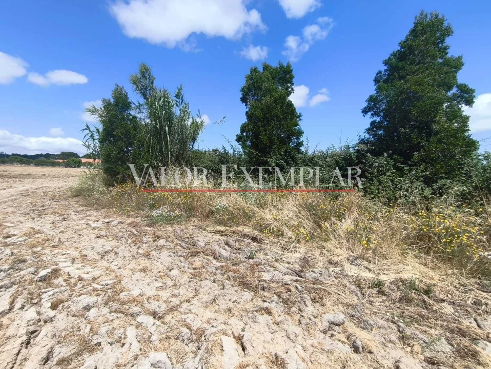Terreno para Venda em Alhos Vedros Foto 4