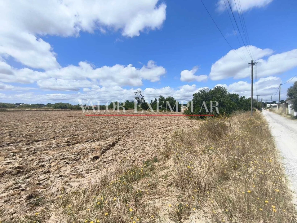 Terreno para Venda em Alhos Vedros Foto 10