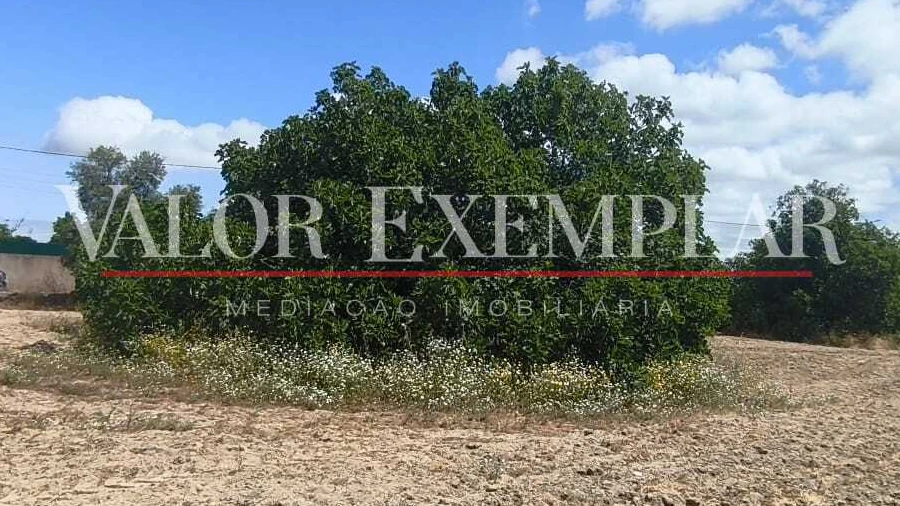Terreno para Venda em Alhos Vedros