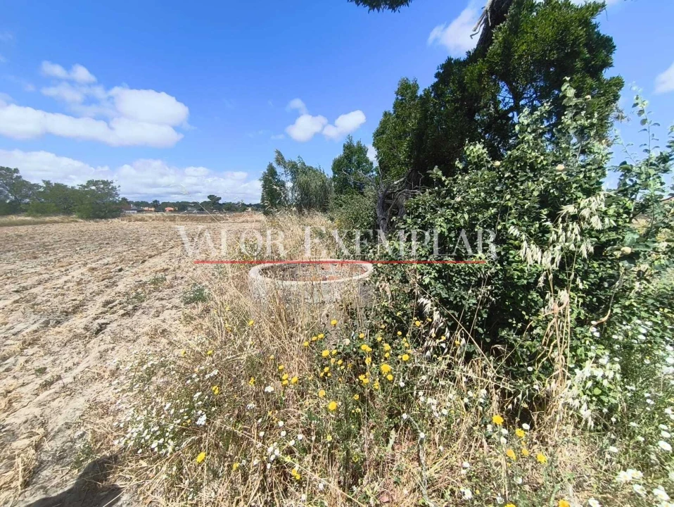 Terreno para Venda em Alhos Vedros Foto 2