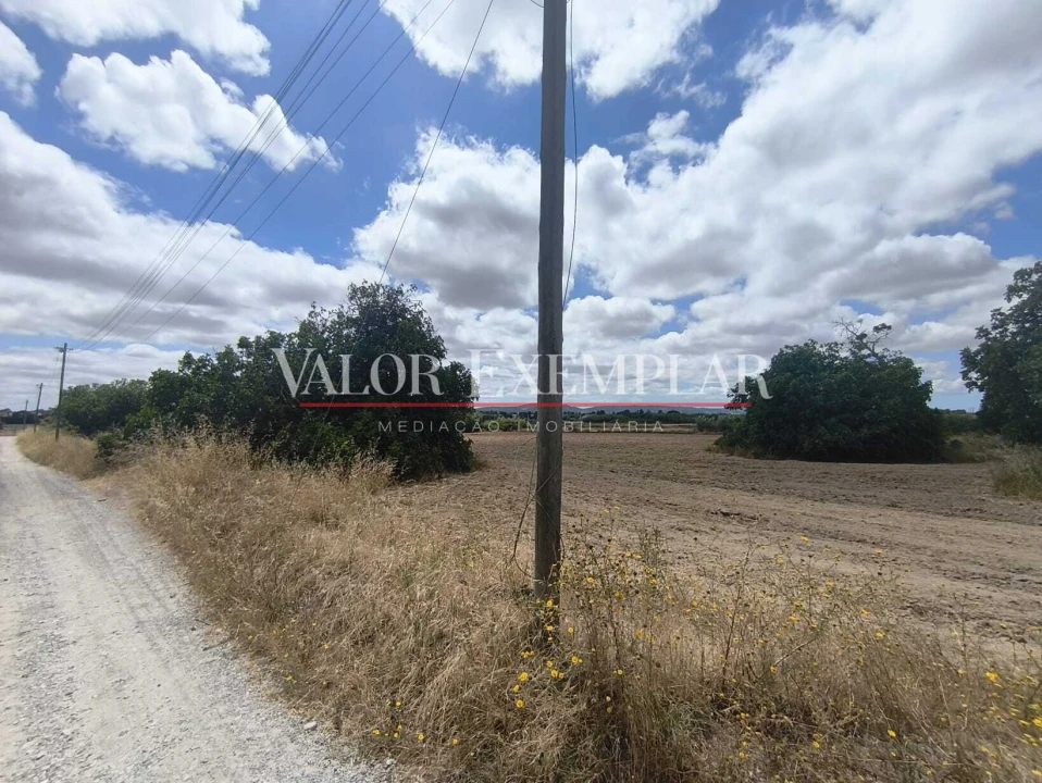 Terreno para Venda em Alhos Vedros Foto 8