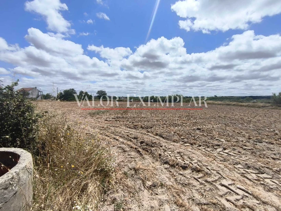 Terreno para Venda em Alhos Vedros Foto 5