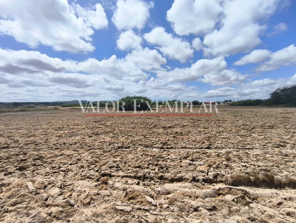 Terreno para Venda em Alhos Vedros Foto 17