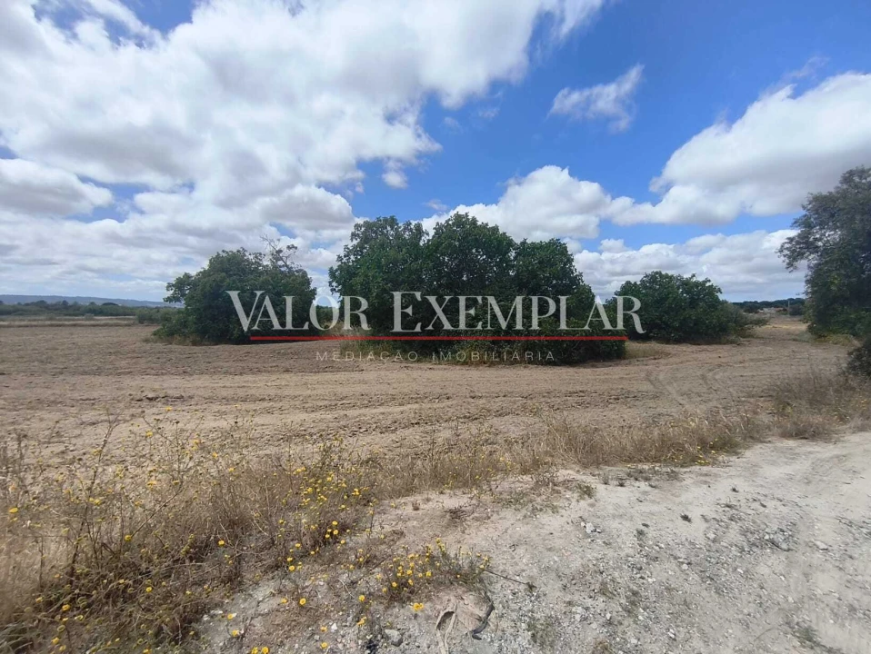 Terreno para Venda em Alhos Vedros Foto 7