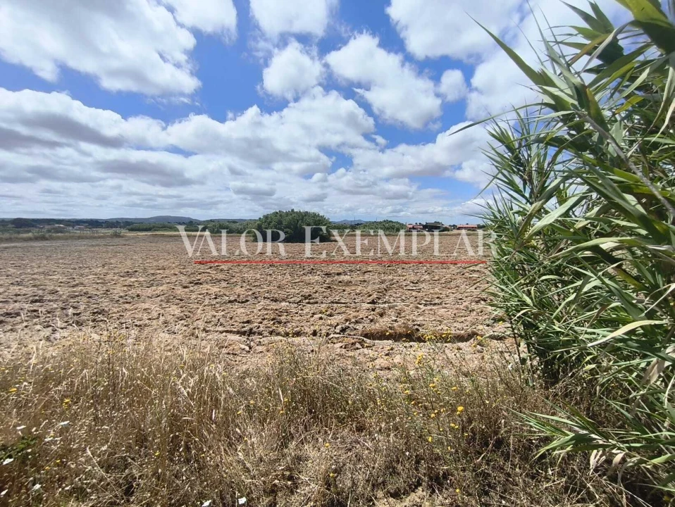 Terreno para Venda em Alhos Vedros Foto 20