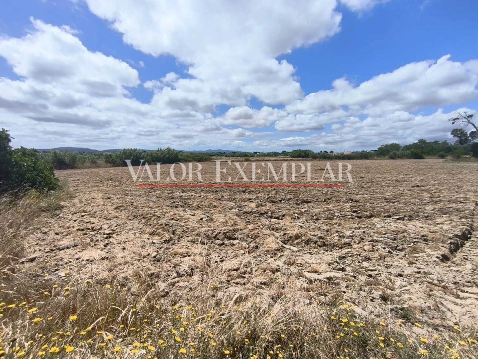 Terreno para Venda em Alhos Vedros Foto 13