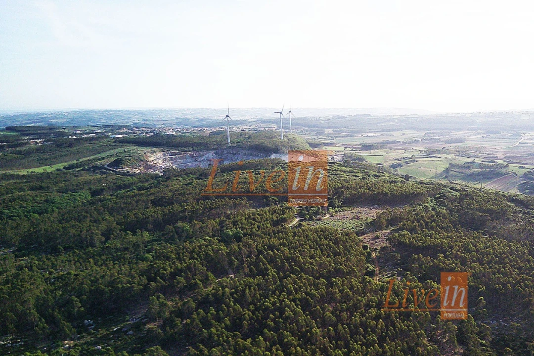 Terreno Agricola ou Rústico para Venda em São Bartolomeu dos Galegos e Moledo Foto 1