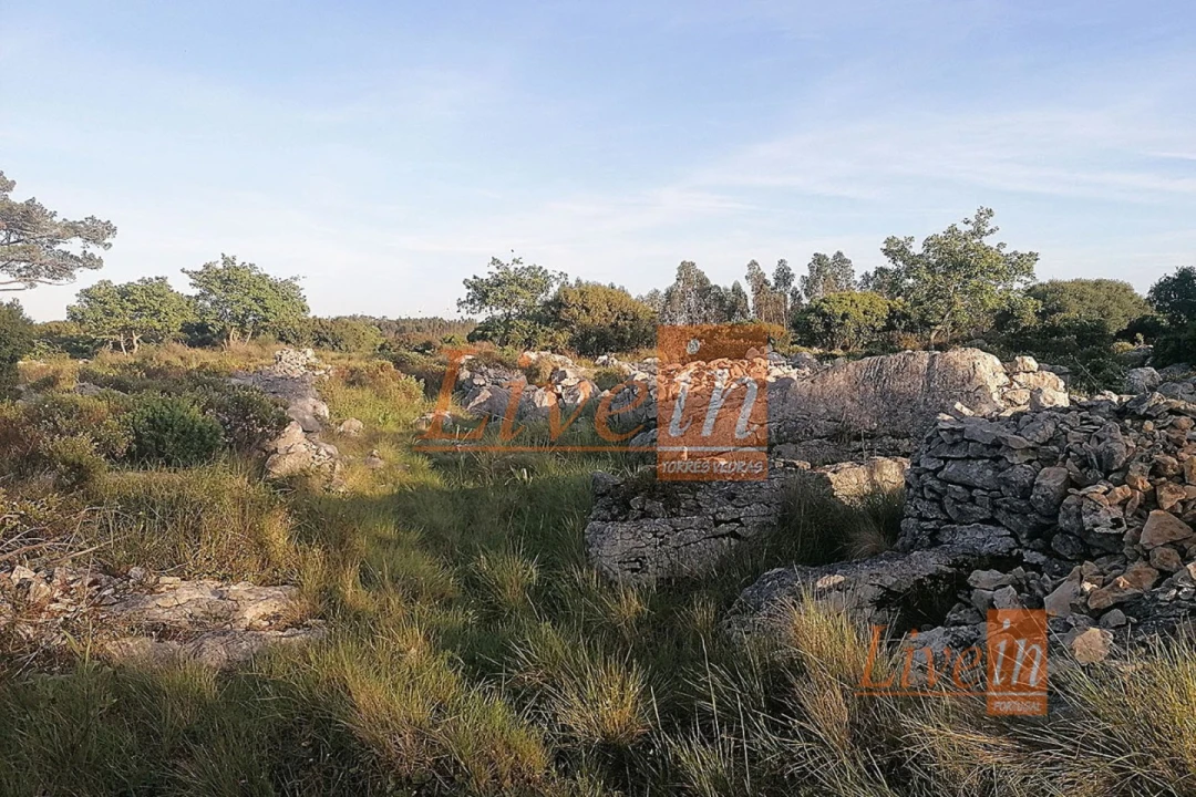 Terreno Agricola ou Rústico para Venda em São Bartolomeu dos Galegos e Moledo Foto 3