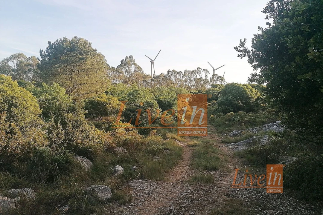 Terreno Agricola ou Rústico para Venda em São Bartolomeu dos Galegos e Moledo Foto 6