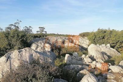 Terreno Agricola ou Rústico para Venda em São Bartolomeu dos Galegos e Moledo
