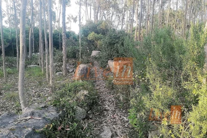 Terreno Agricola ou Rústico para Venda em São Bartolomeu dos Galegos e Moledo