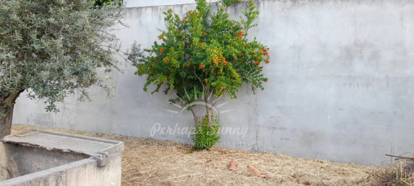 Quinta T4 para Venda em Grândola e Santa Margarida da Serra Foto 5