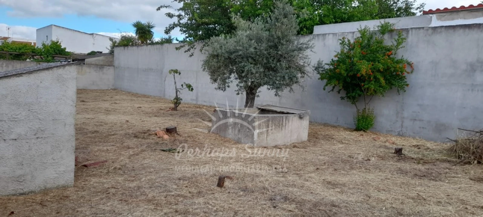 Quinta T4 para Venda em Grândola e Santa Margarida da Serra Foto 6