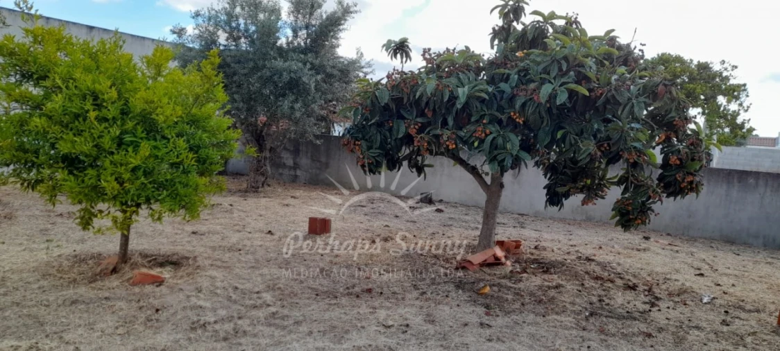 Quinta T4 para Venda em Grândola e Santa Margarida da Serra Foto 7