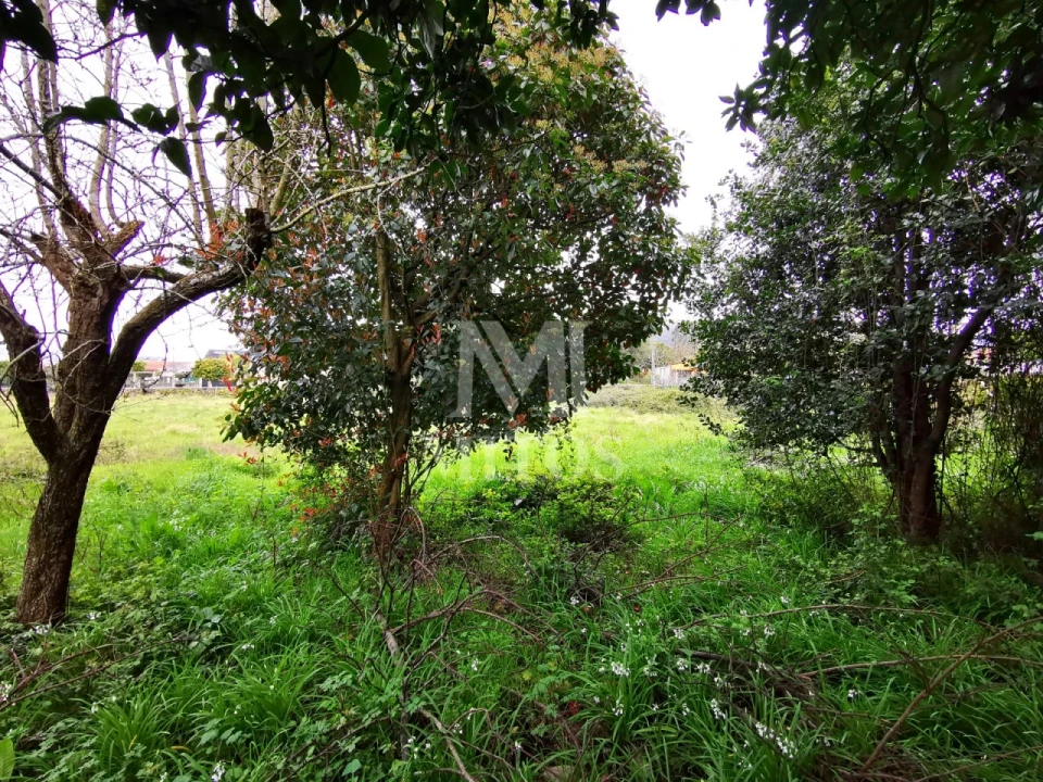 Moradia T4 para Venda em Geraz do Lima (Santa Maria, Santa Leocádia, Moreira), Deão Foto 19