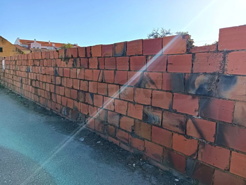 Terreno para Venda em Oiã Foto 2