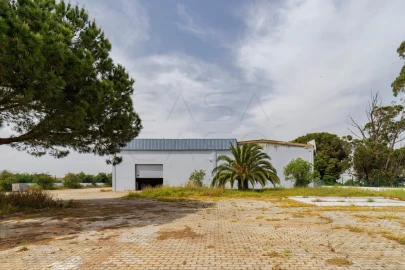 Armazém para Venda em Sado
