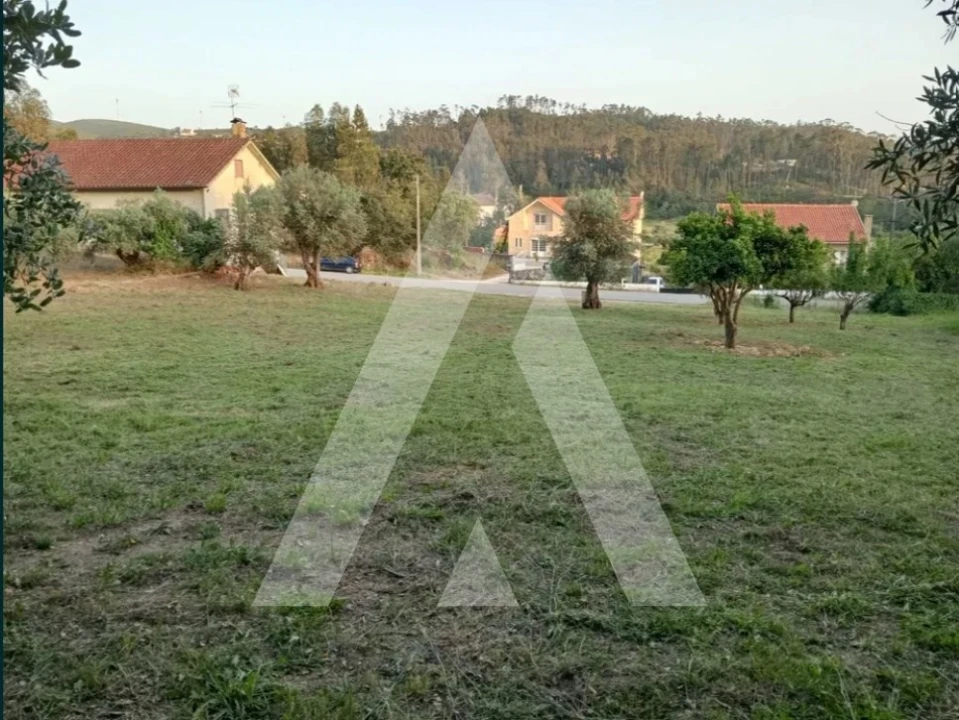 Terreno para Venda em Pelariga Foto 2